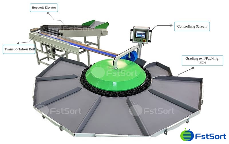 images/1724052534413apple grading machine.jpg